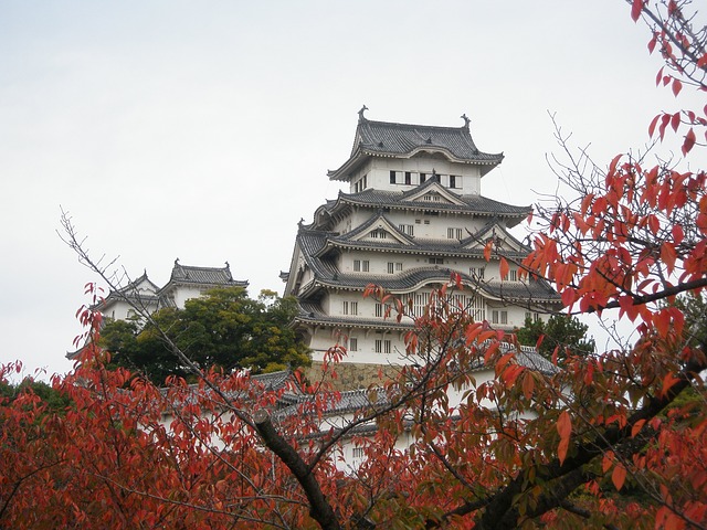 W Japonii przybywa seniorów
