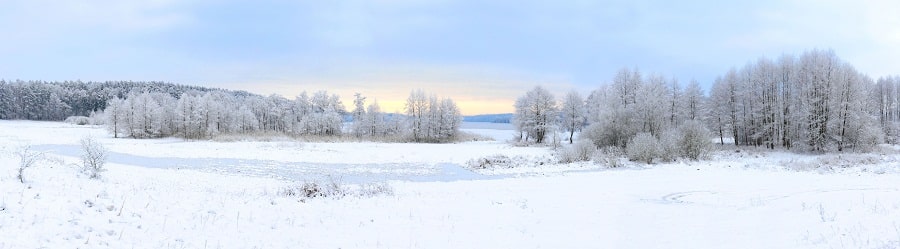 Winter landscape with frozen lake and snowy trees