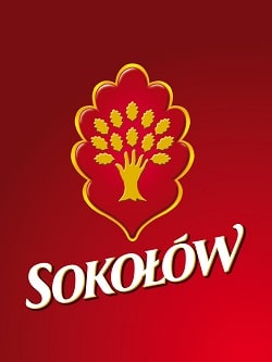 logosokolow.ai