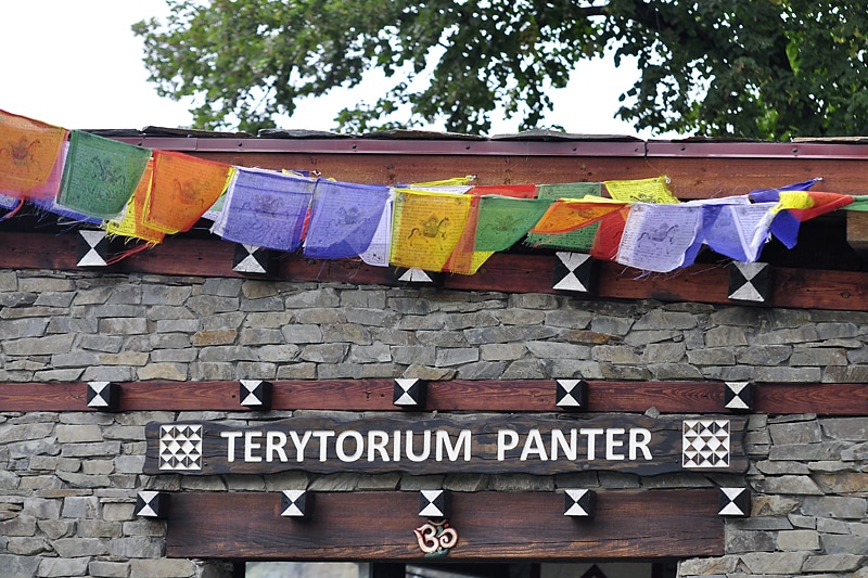 Terytorium panter, nowa atrakcja Wrocławia