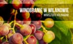 Winobranie w Wilanowie – warsztaty kulinarne