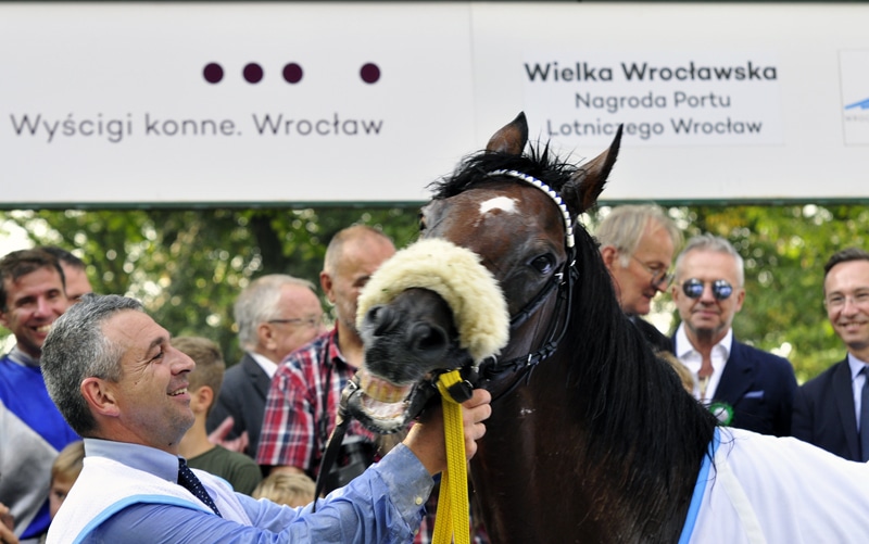 Wielka Wrocławska