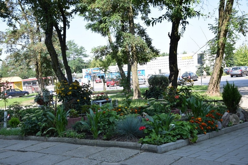 Seniorki z pasją z Radomska