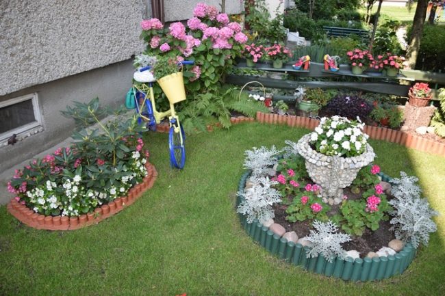 Seniorki z pasją - konkurs „Mój dom cały w kwiatach”, przeprowadzony w Radomsku