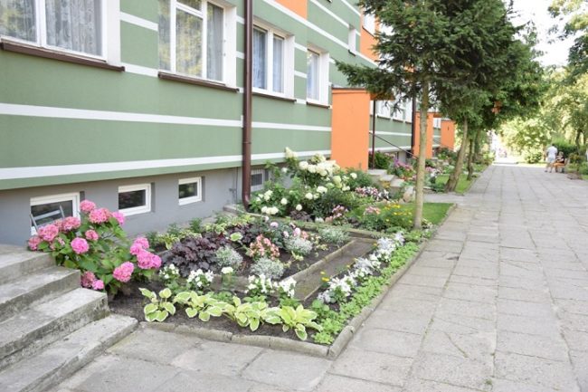 Seniorki z pasją - konkurs „Mój dom cały w kwiatach”, przeprowadzony w Radomsku