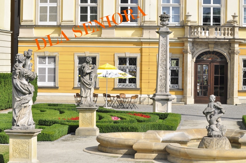 Oprowadzanie na deser. Środa dla Seniora