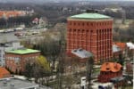 Starych drzew się nie przesadza, a jednak