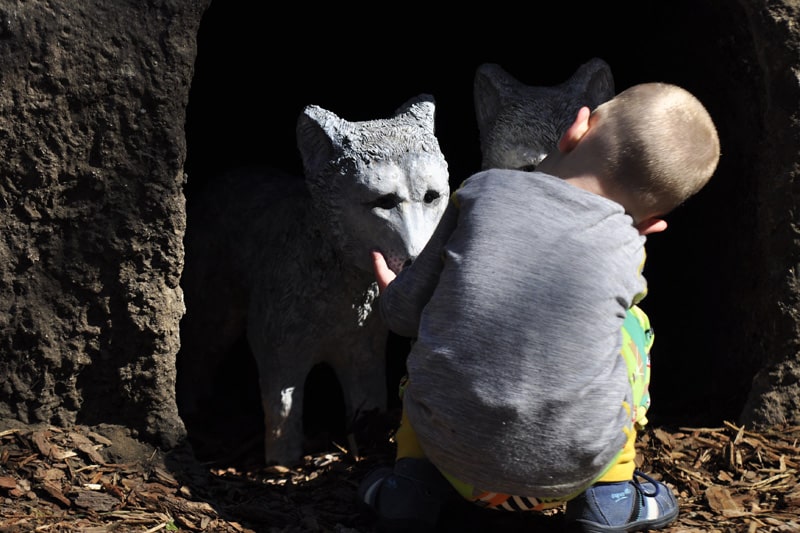 Wilcza Ostoja we wrocławskim ogrodzie zoologicznym