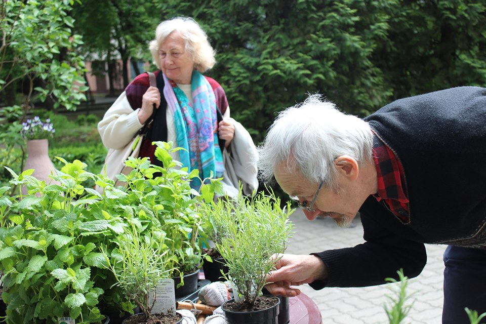 Projekt Floratorium, aby czerpać siłę z przyrody