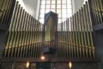 Muzykujący profesorowie na festiwalu organowym