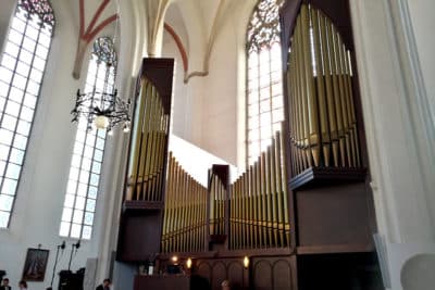 lato organowe,fot.©J.Dudzik