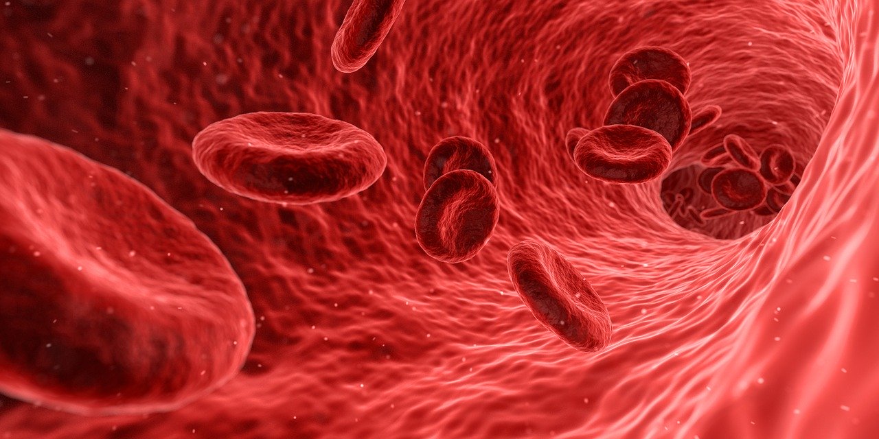 Morfologia krwi – kiedy warto ją wykonać?