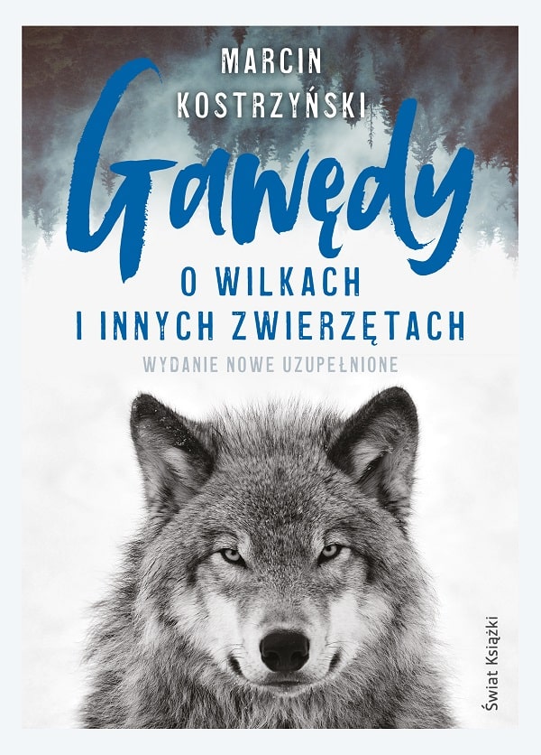 Gawędy o wilkach i innych zwierzętach Marcina Kostrzyńskiego