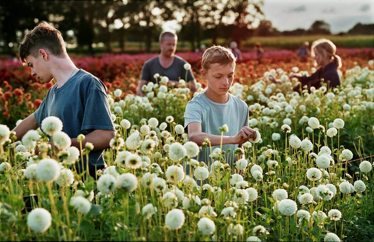 Filmowe spotkania dla seniorów. Kino Nowe Horyzonty we Wrocławiu. FILM, PRELEKCJA, DYSKUSJA [Repertuar LUTY]